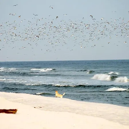 Beach'n'sea 9 Appartement *