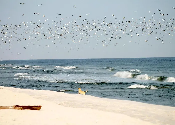 Beach'n'sea 9 Lägenhet *